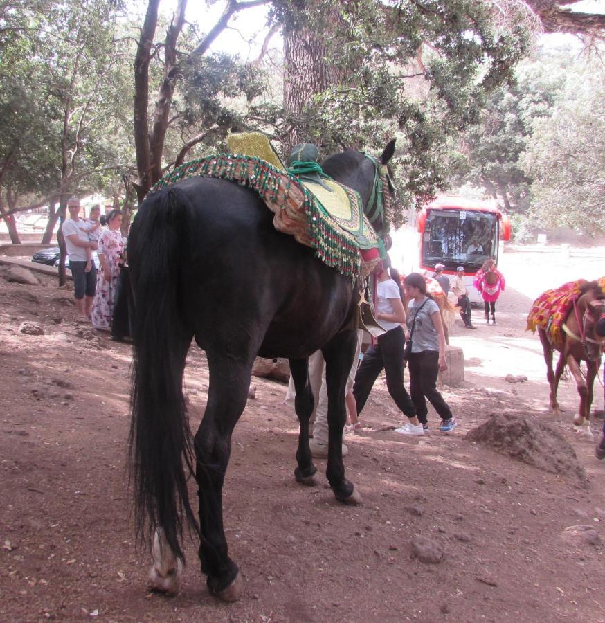 Bed And Breakfast Ifrane  Bagian luar foto