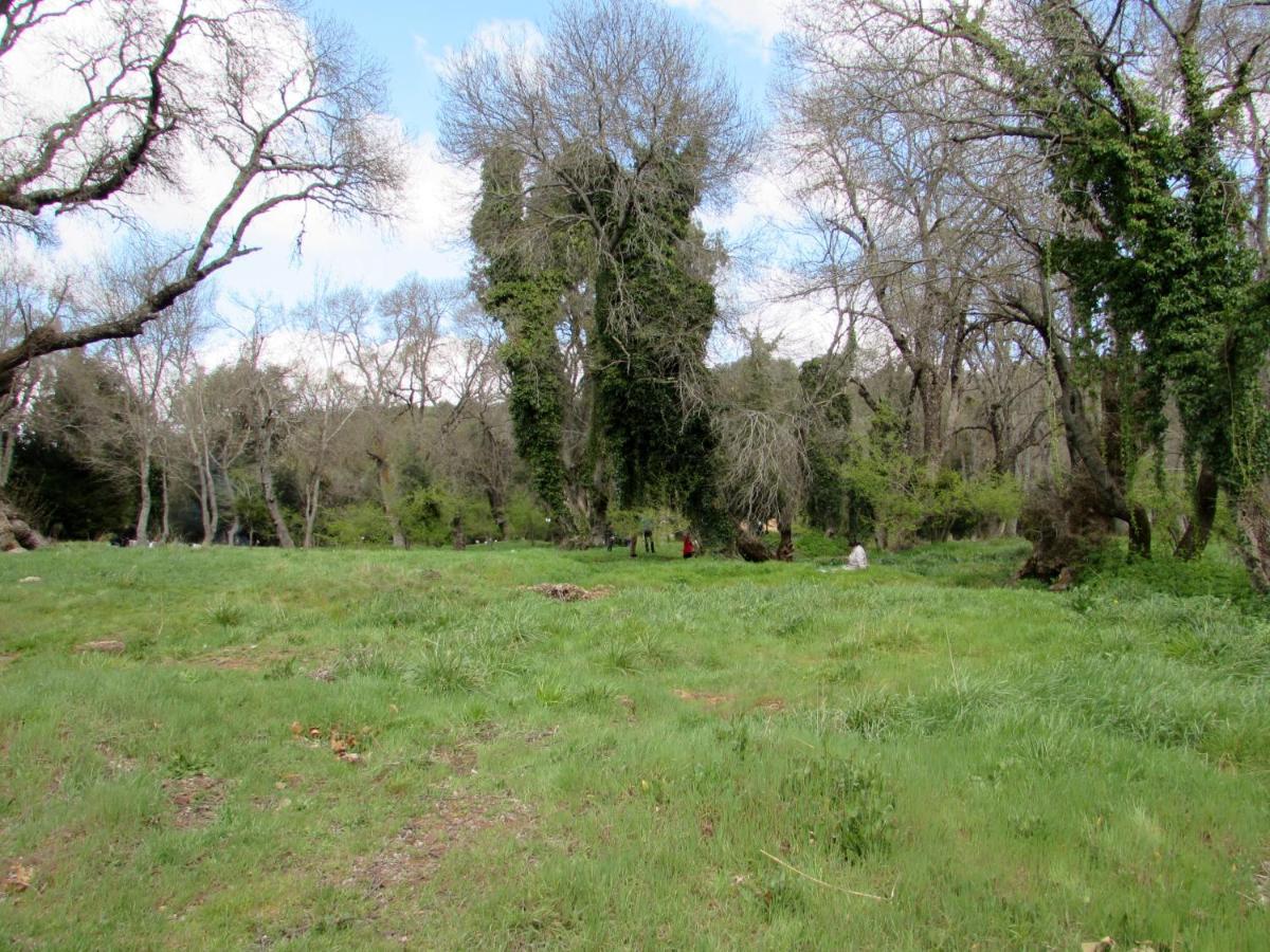 Bed And Breakfast Ifrane  Bagian luar foto